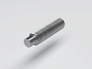 Hexagon socket set screw with dog point