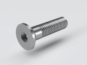 Hexagon socket countersunk head screw