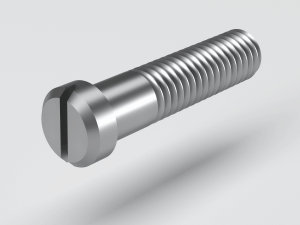 Slotted Pan head screw - small head