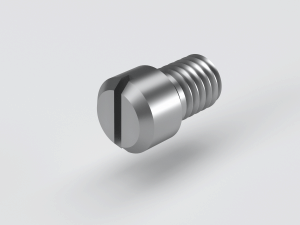 Slotted shoulder screw