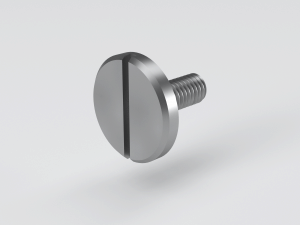 Slotted pan head screw - large head