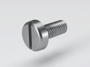 Slotted pan head machine screw