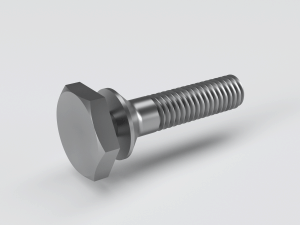 Shear bolt