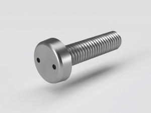 Pan head 2 hole drive (snake eye) screw